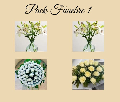 PACK FUNEBRE 1