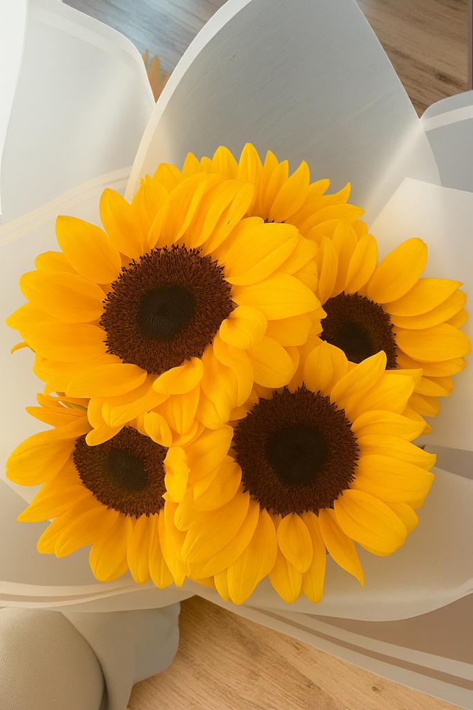 BOUQUET CON 5 GIRASOLRES